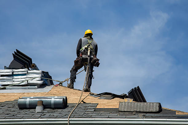 Professional Roof Replacement technician working in Dry Ridge, OH